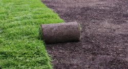 Entretien jardin dans le Calvados