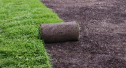 Entretien jardin dans l' Orne