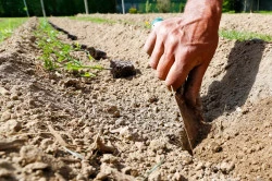 Création de jardin dans la Manche